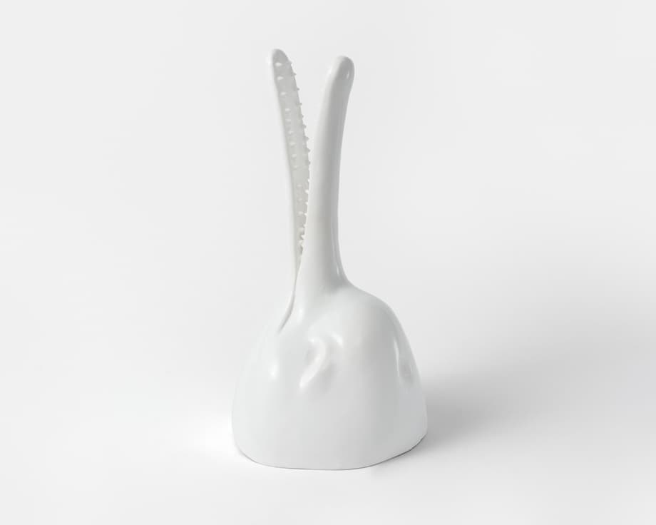 Głowa delfina rzecznego baji